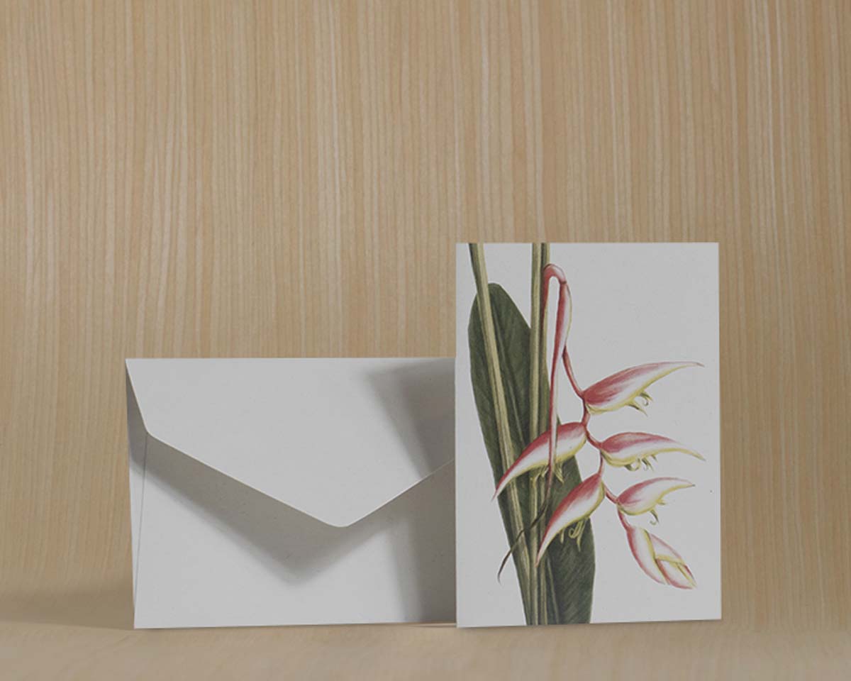 Tarjetas dobles y sobres - Flores Icónicas de Colombia