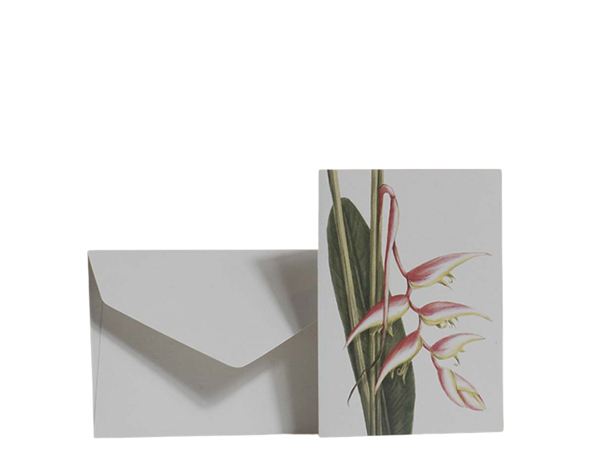 Tarjetas dobles y sobres - Flores Icónicas de Colombia