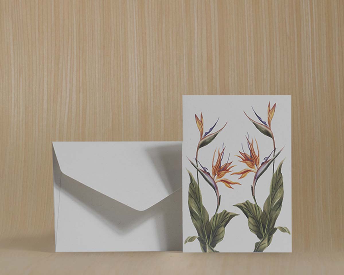 Tarjetas dobles y sobres - Flores Icónicas de Colombia