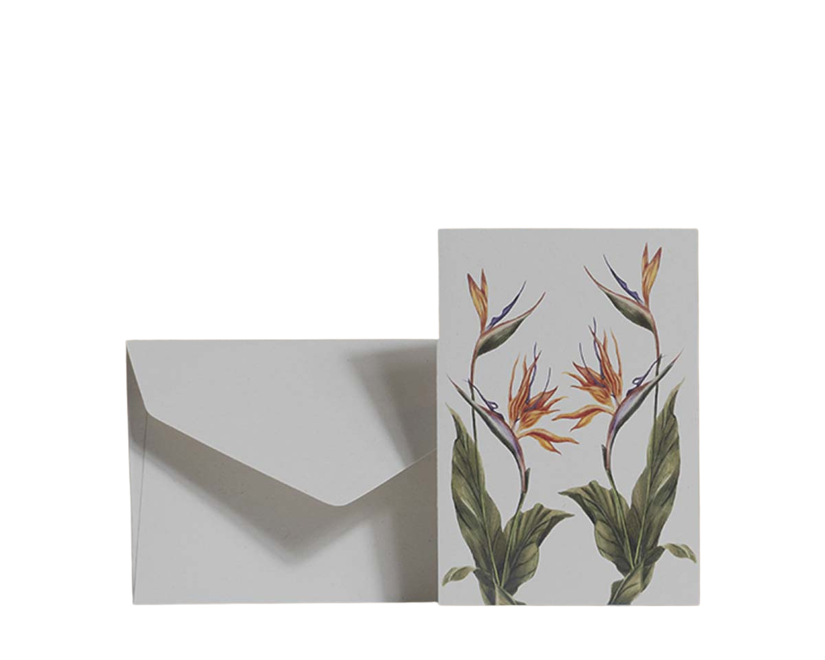 Tarjetas dobles y sobres - Flores Icónicas de Colombia