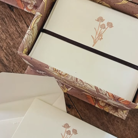 Tarjetas dobles y sobres - Flor Inírida Rosé