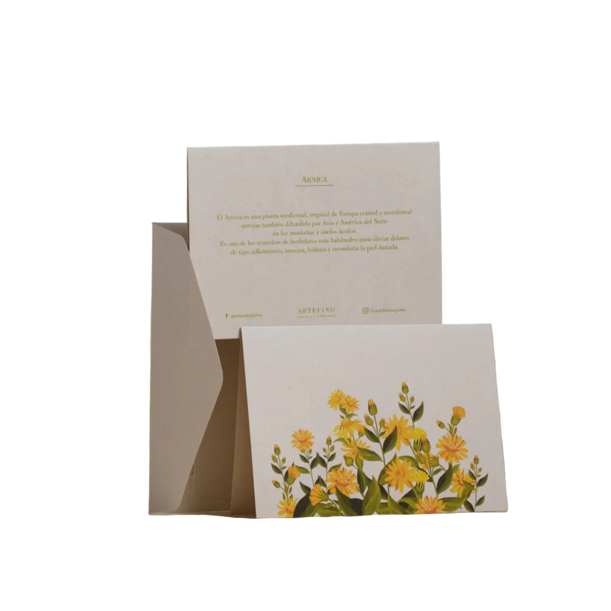 Tarjetas dobles y sobres - Flores medicinales