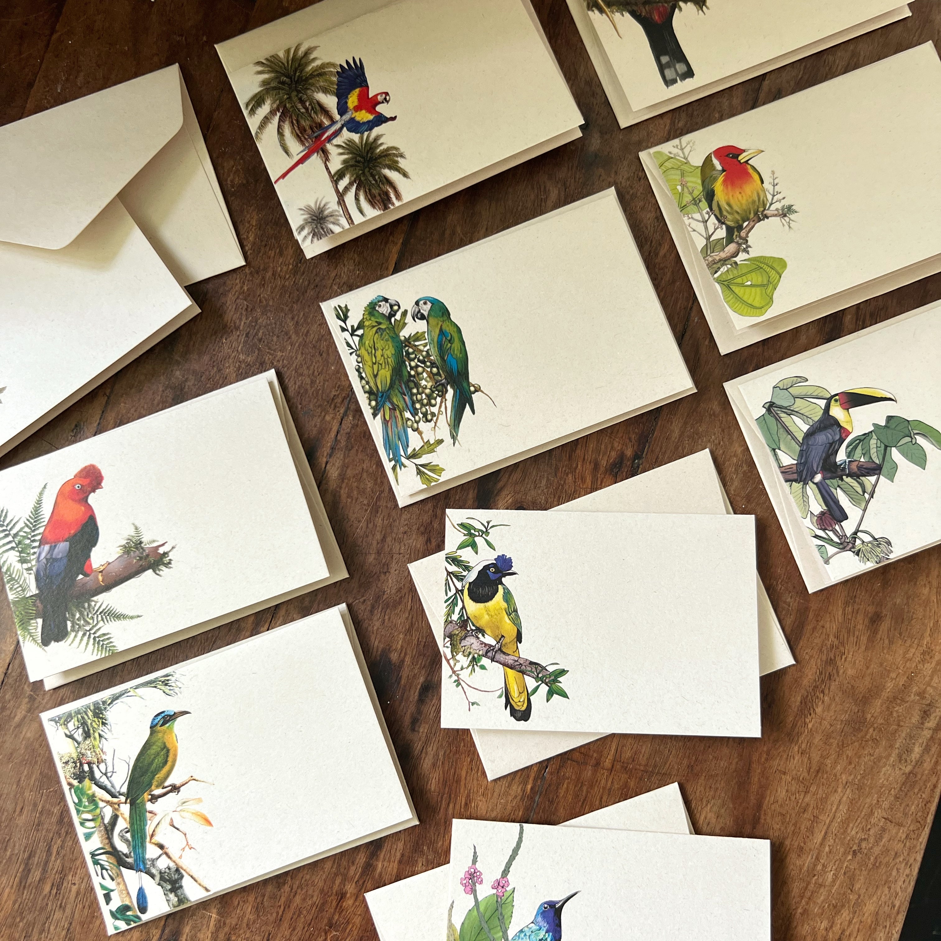 Tarjetas dobles y sobres - Colección Aves del Pacífico