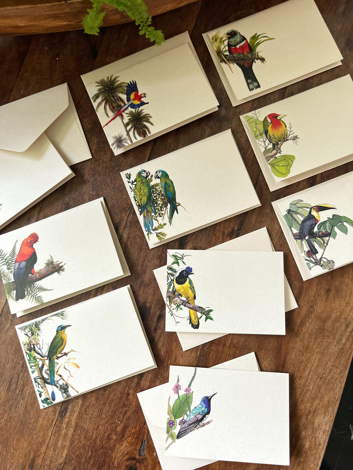 Tarjetas dobles y sobres - Colección Aves del Pacífico