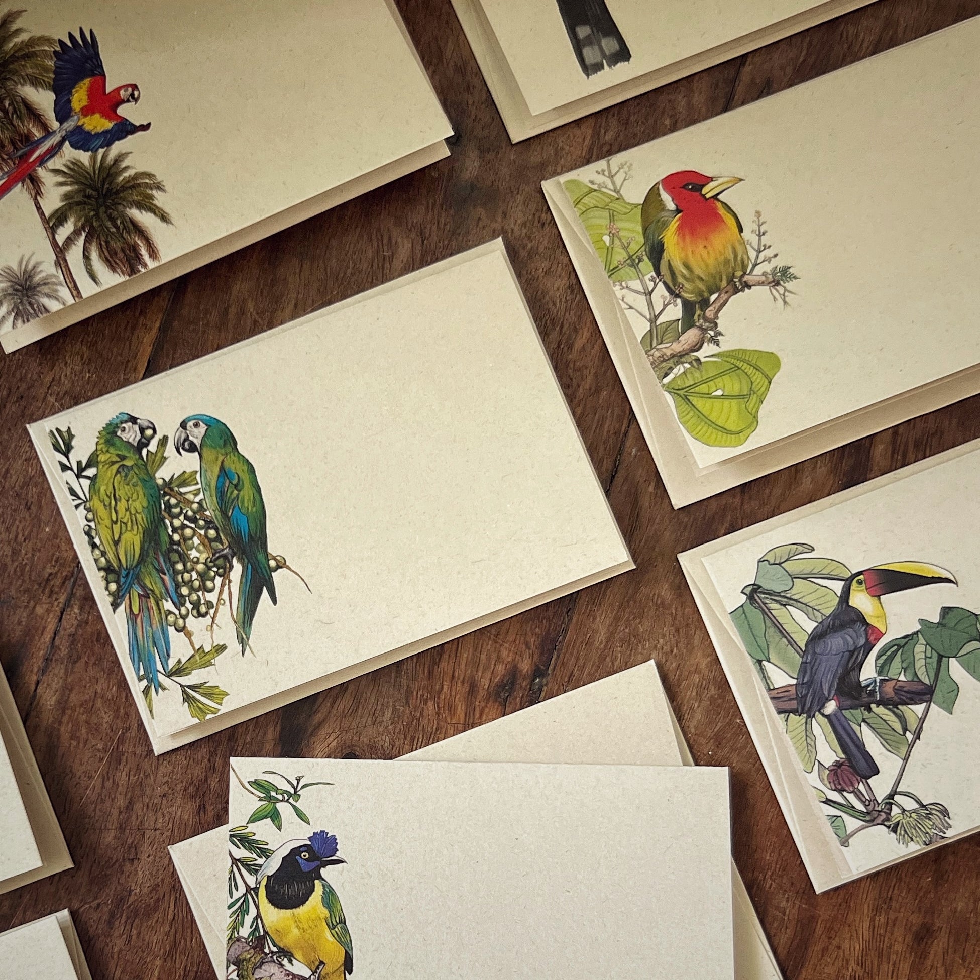 Tarjetas y sobres - Colección Aves de Colombia