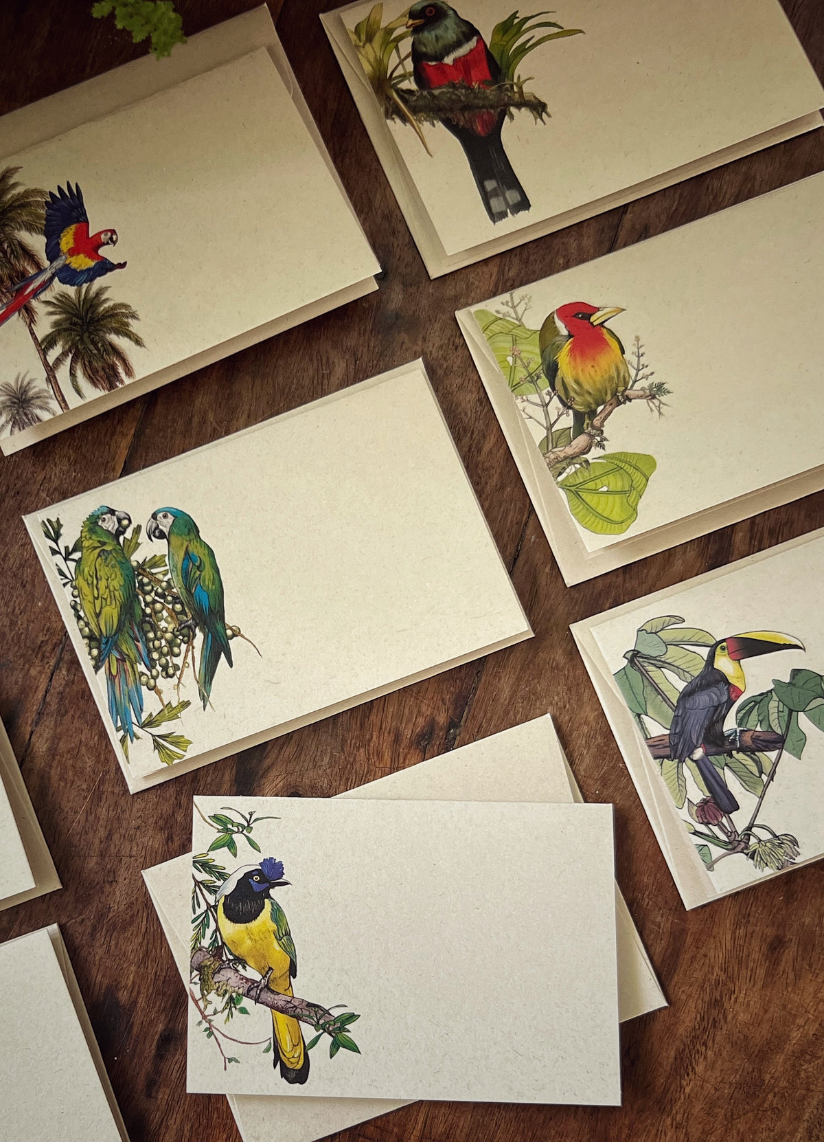 Tarjetas y sobres - Colección Aves de Colombia