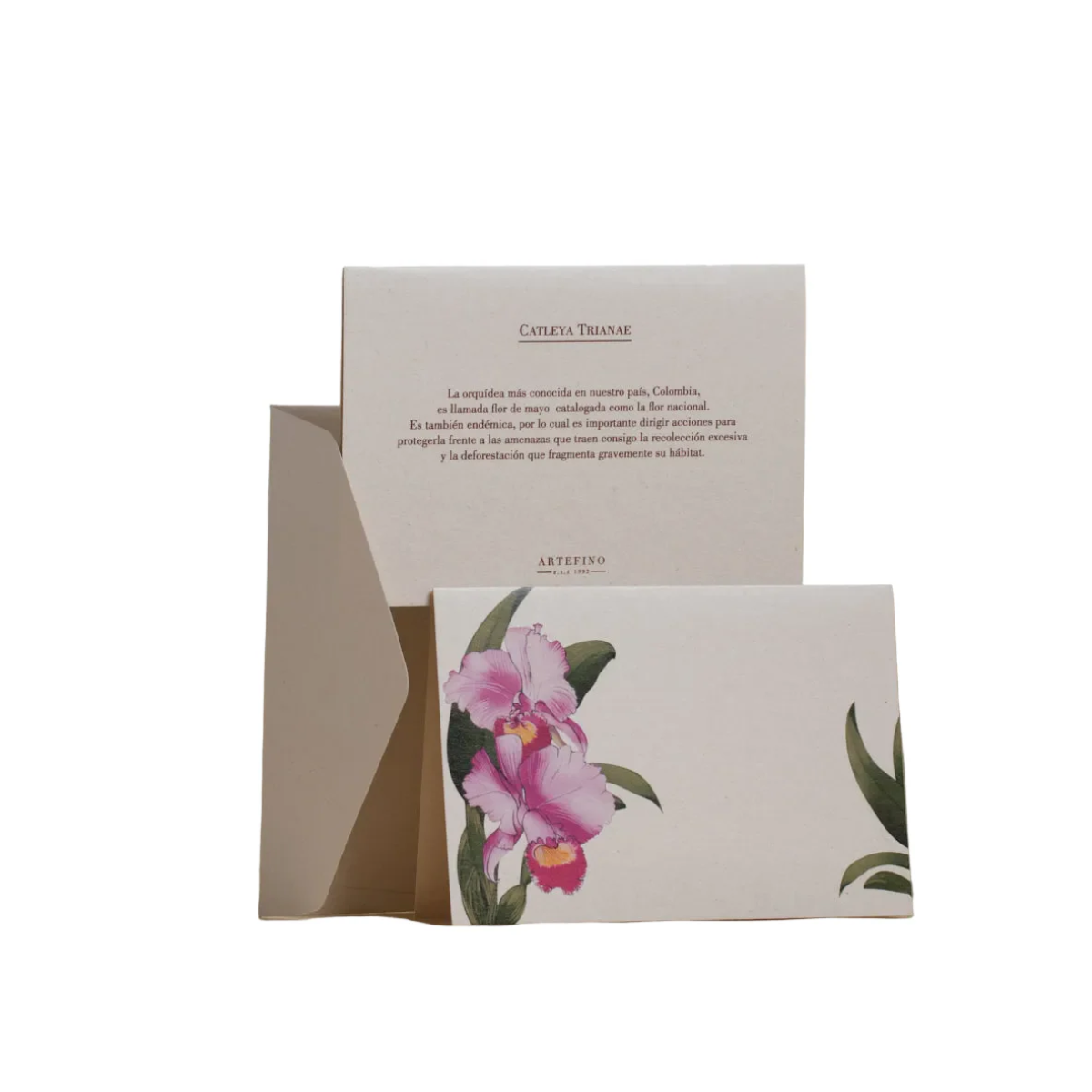 Tarjetas dobles y sobres - Orquídeas de Colombia