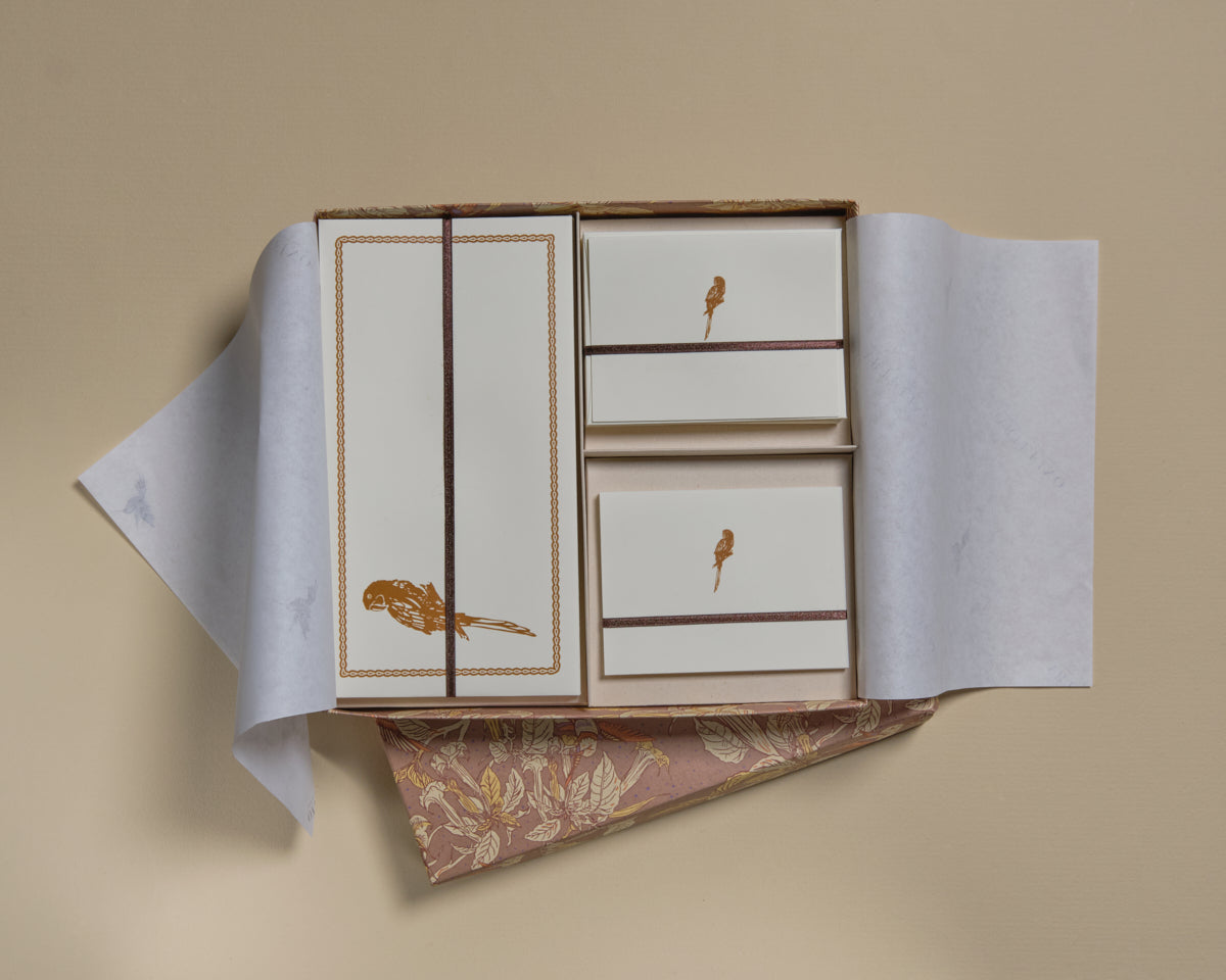 Caja grande de tarjetas y sobres - Loro café