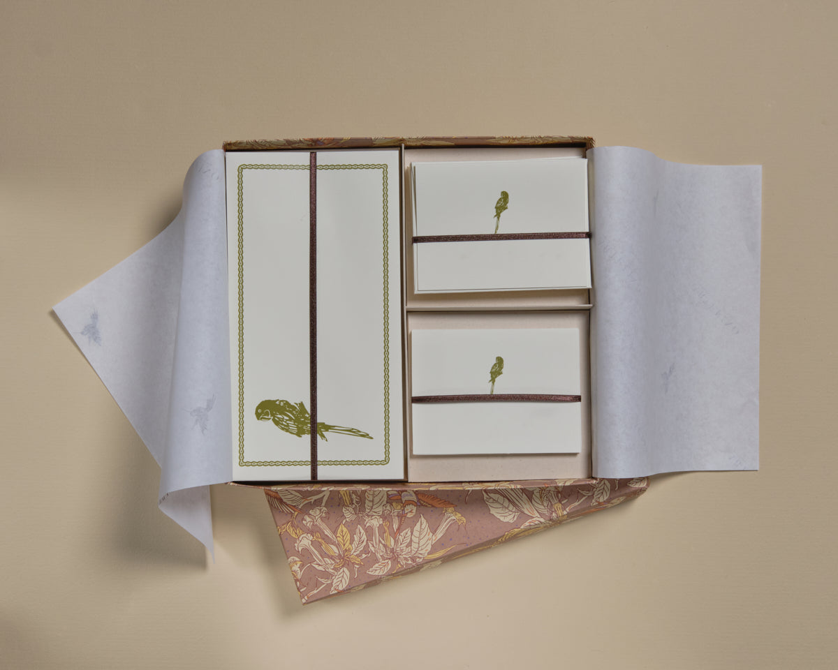 Caja grande de tarjetas y sobres- Loro Verde