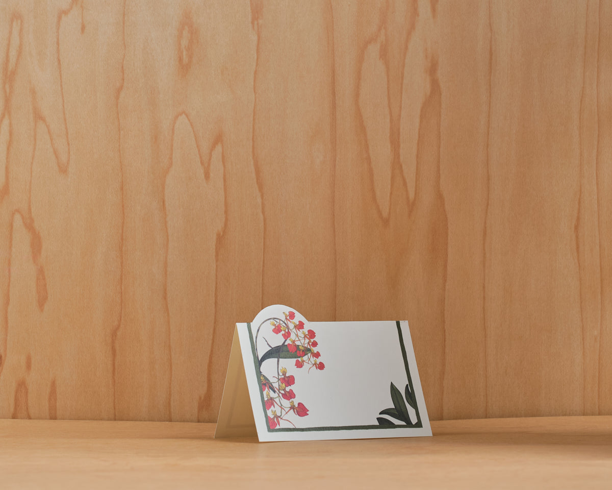 Puestos de mesa - Orquídea