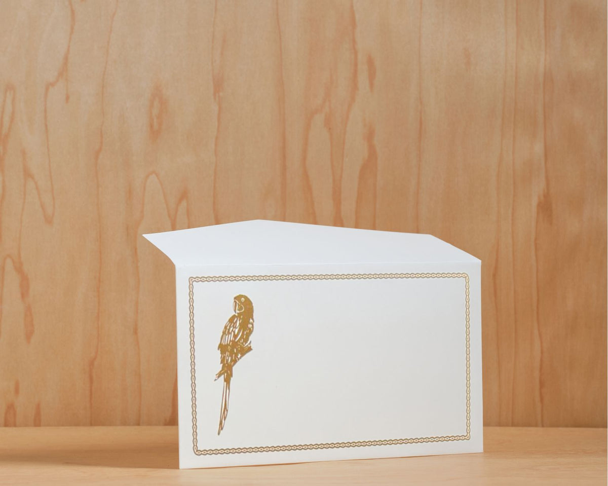 Caja grande de tarjetas y sobres - Loro café