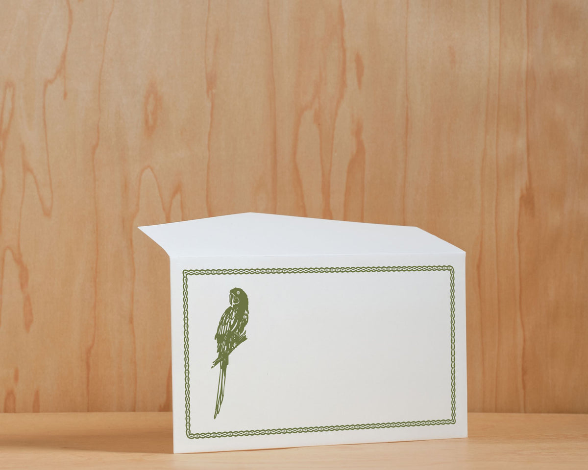 Caja grande de tarjetas y sobres- Loro Verde