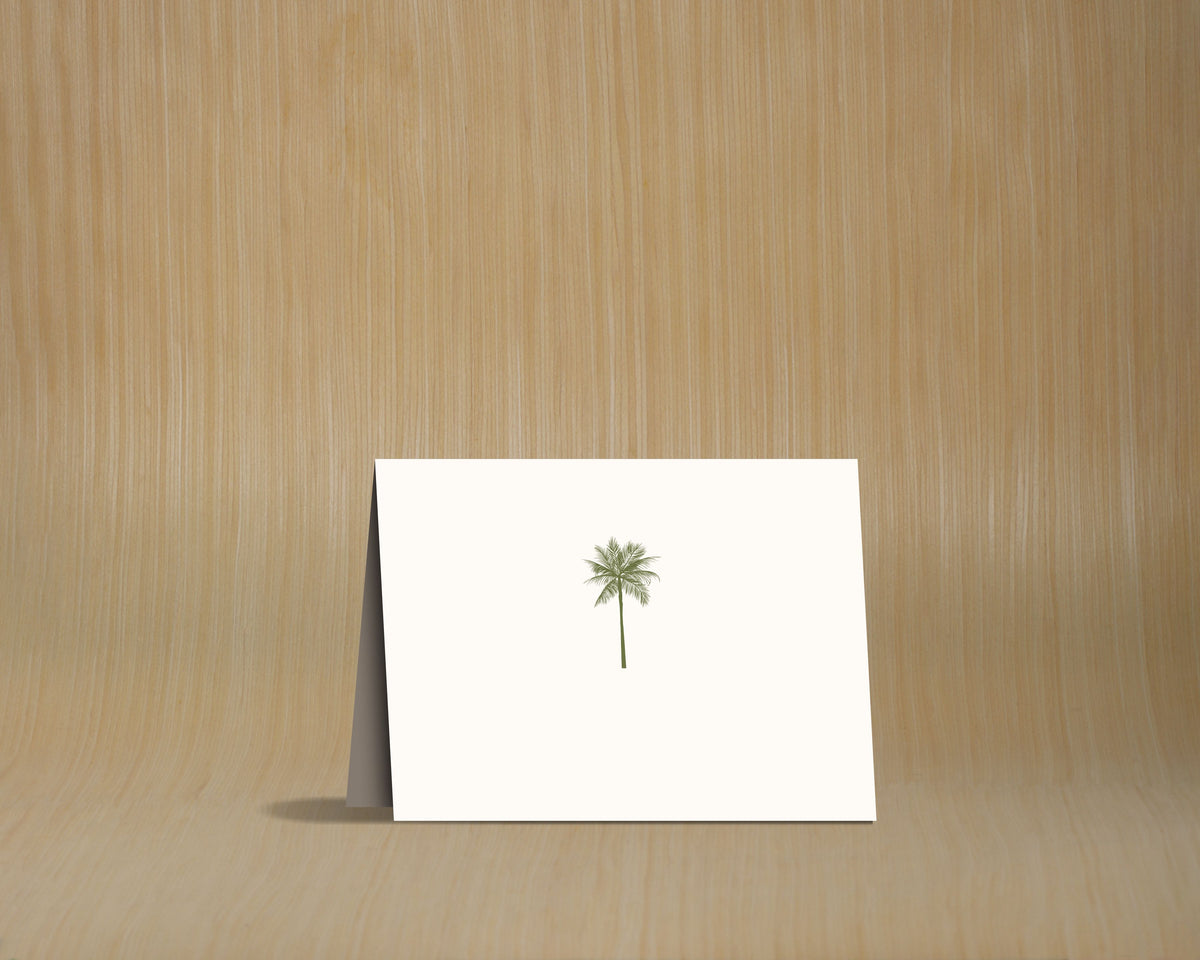 Caja grande de tarjetas y sobres - Palma verde