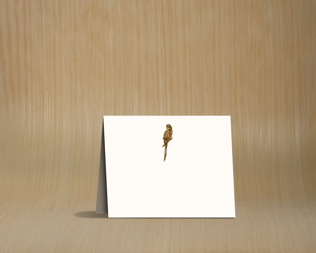 Tarjetas dobles y sobres - Loro
