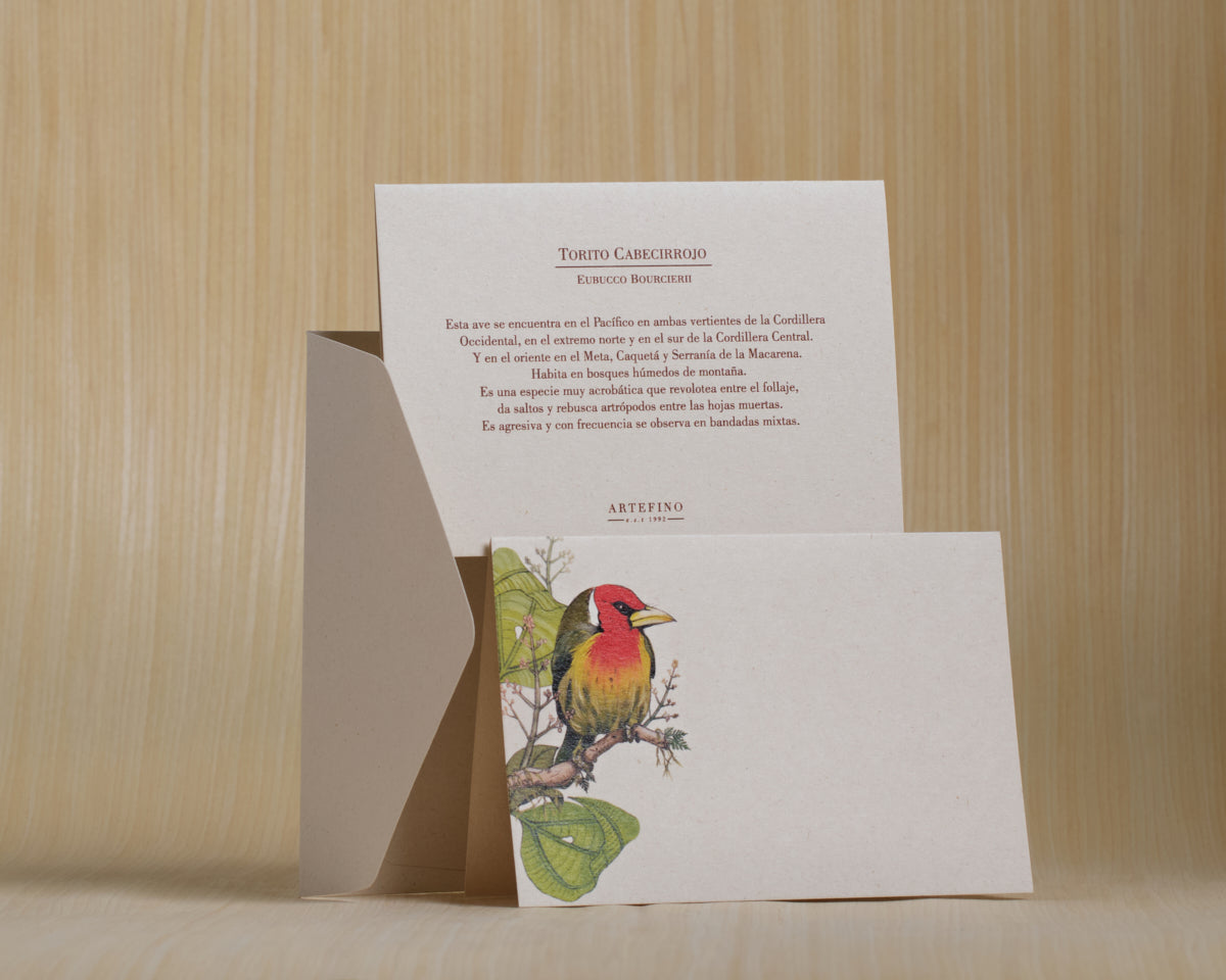 Tarjetas y sobres - Colección Aves de Colombia