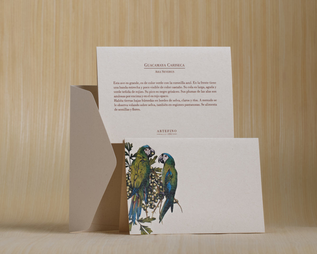 Tarjetas y sobres - Colección Aves de Colombia