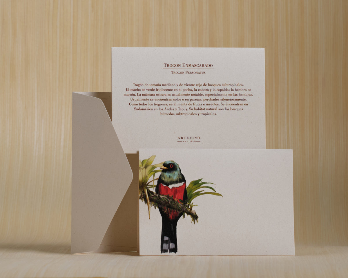 Tarjetas y sobres - Colección Aves de Colombia