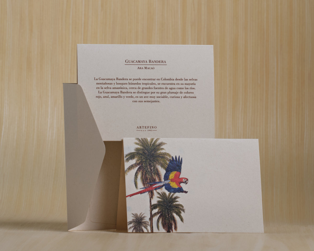 Tarjetas y sobres - Colección Aves de Colombia