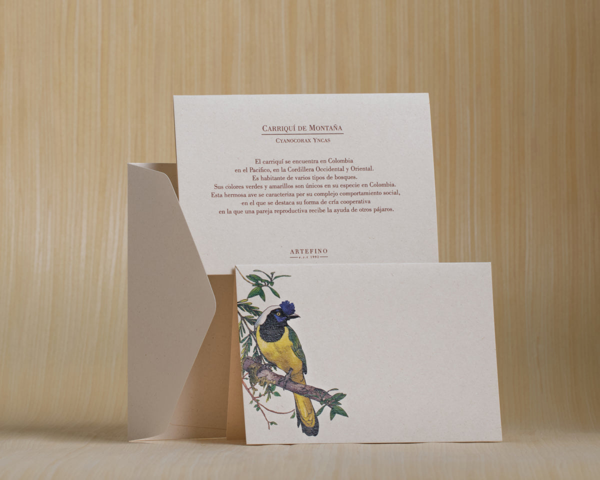 Tarjetas y sobres - Colección Aves de Colombia