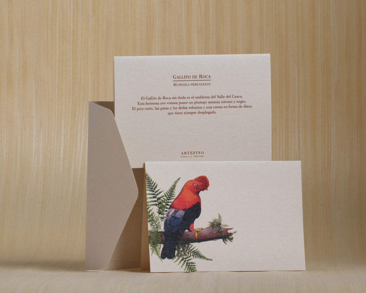 Tarjetas dobles y sobres - Colección Aves del Pacífico