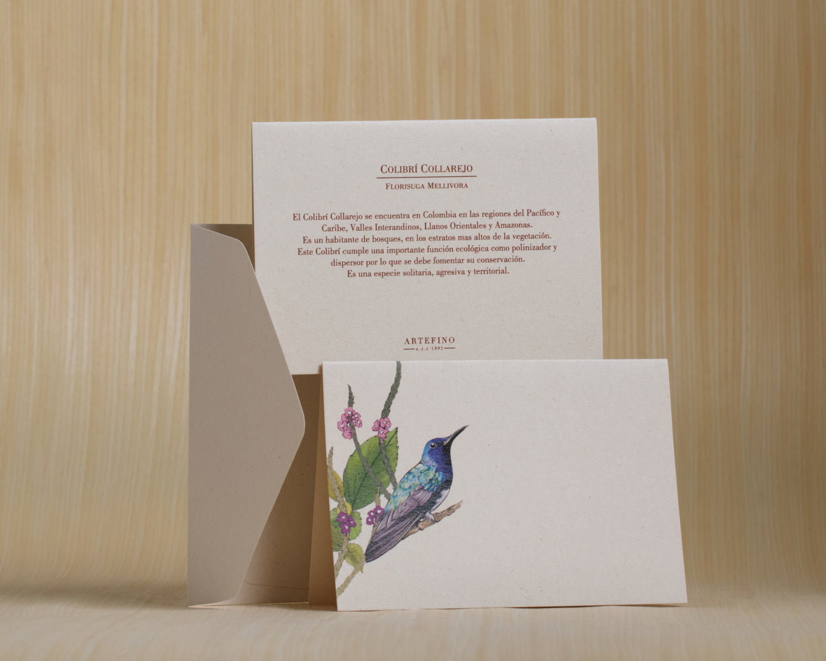 Tarjetas dobles y sobres - Colección Aves del Pacífico