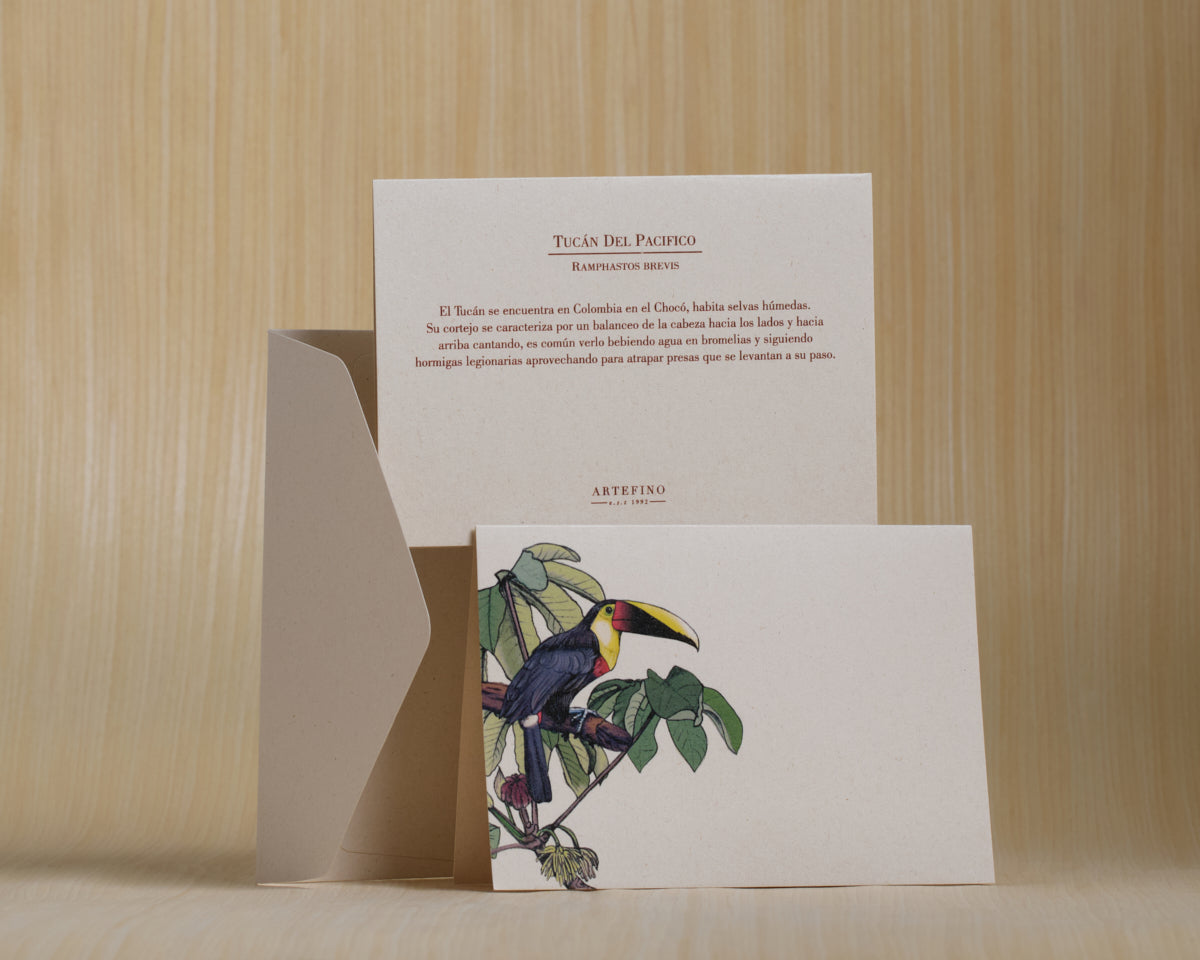 Tarjetas dobles y sobres - Colección Aves del Pacífico