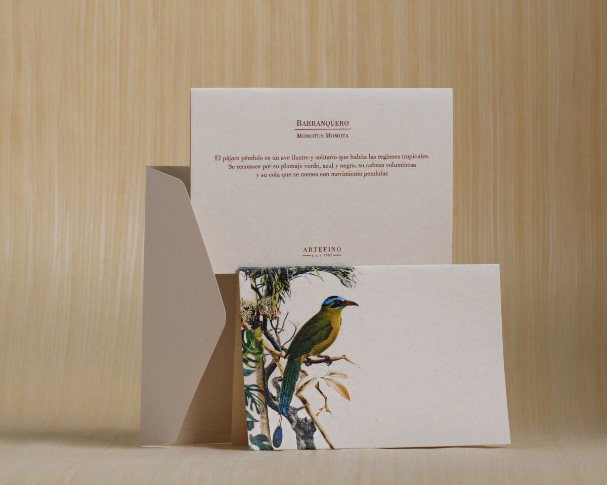 Tarjetas dobles y sobres - Colección Aves del Pacífico