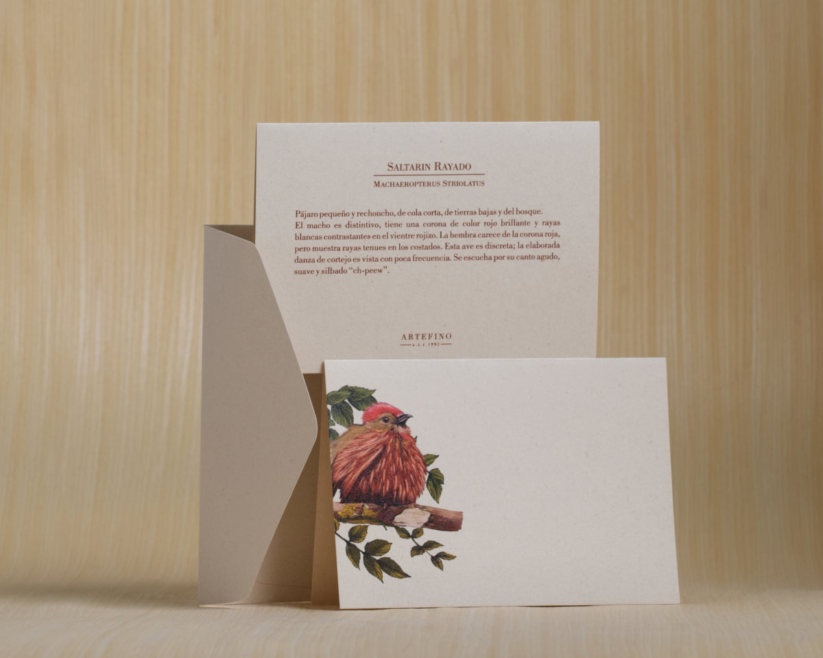 Tarjetas dobles y sobres - Colección Aves del Pacífico