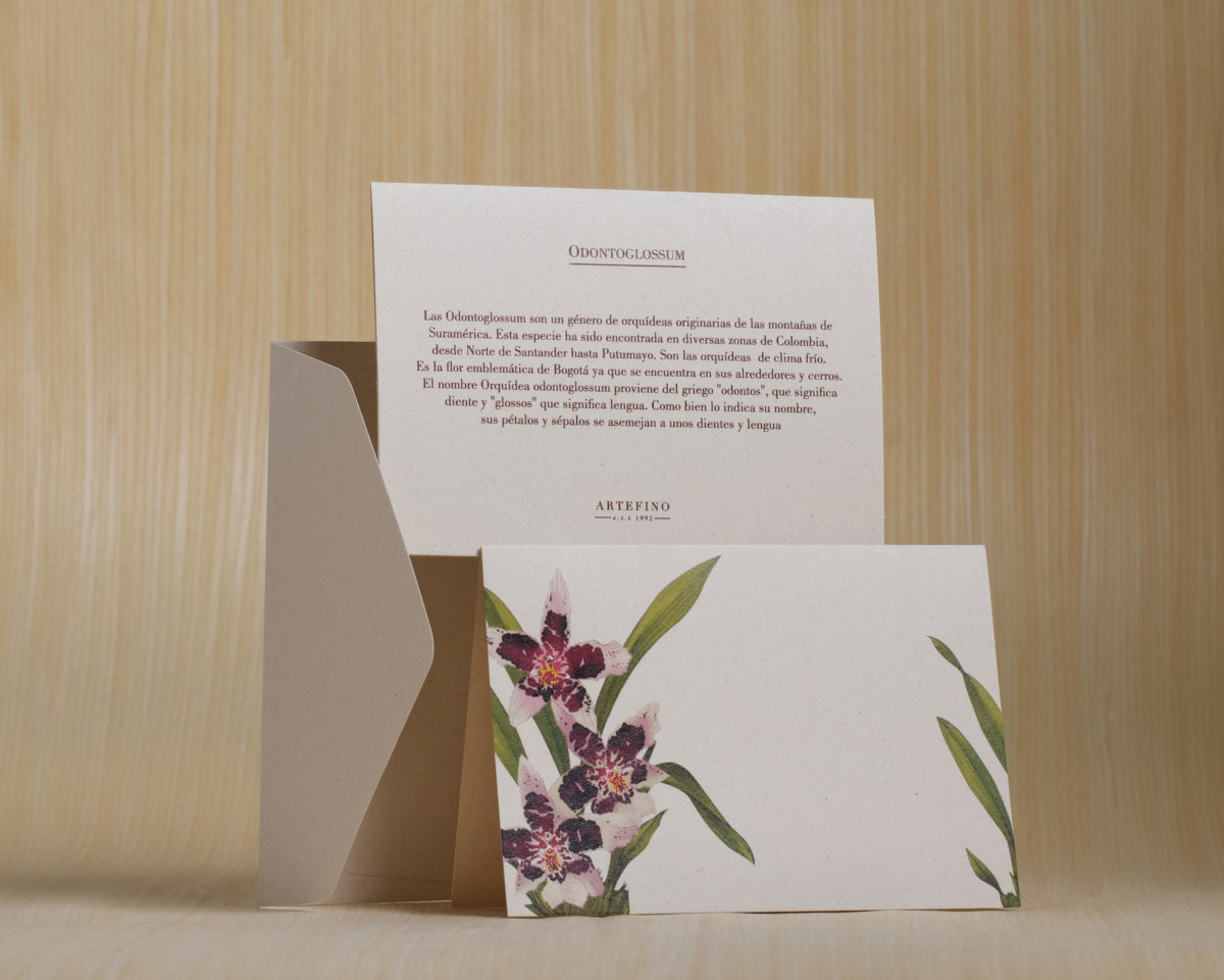 Tarjetas dobles y sobres - Orquídeas de Colombia