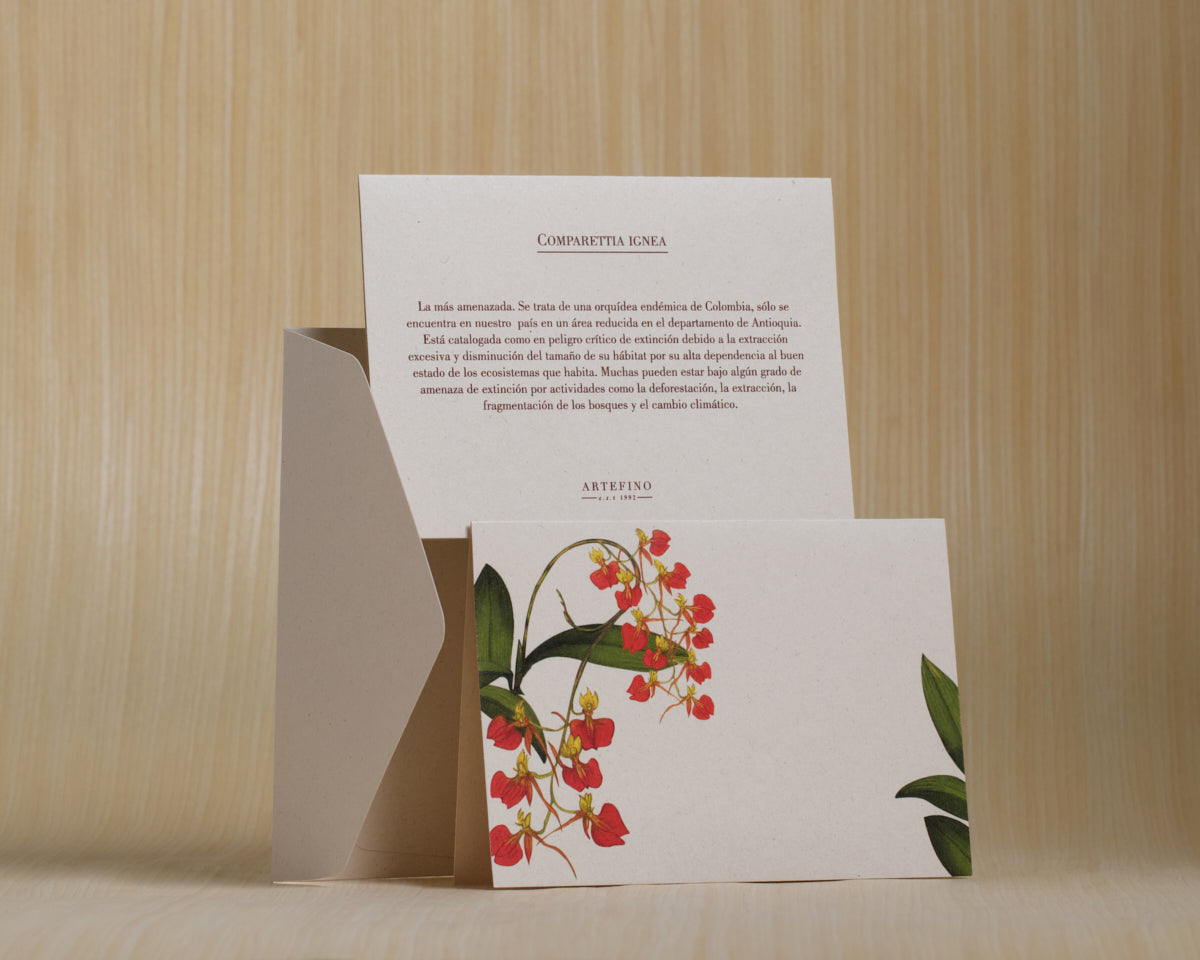 Tarjetas dobles y sobres - Orquídeas de Colombia