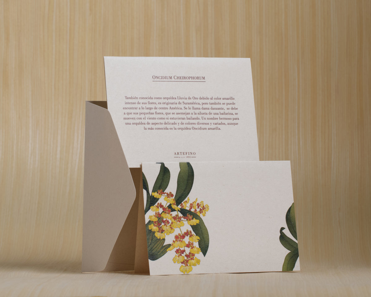 Tarjetas dobles y sobres - Orquídeas de Colombia