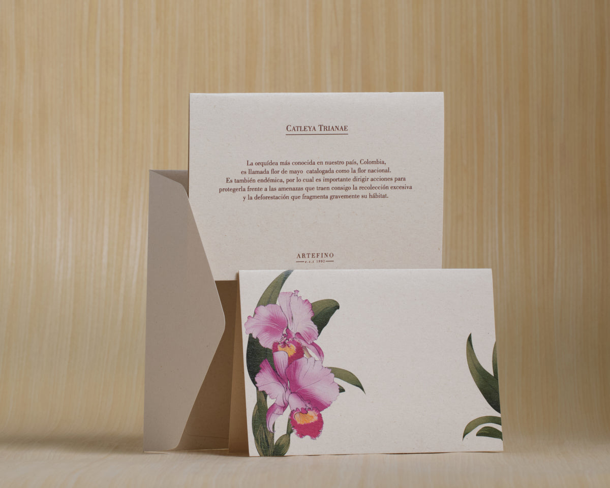 Tarjetas dobles y sobres - Orquídeas de Colombia