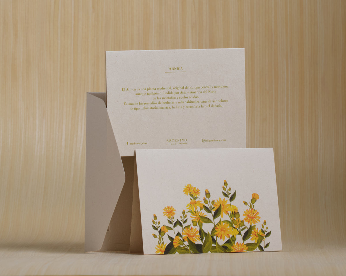 Tarjetas dobles y sobres - Flores medicinales
