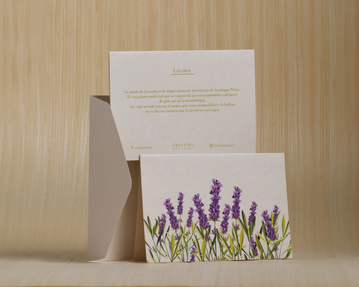 Tarjetas dobles y sobres - Flores medicinales