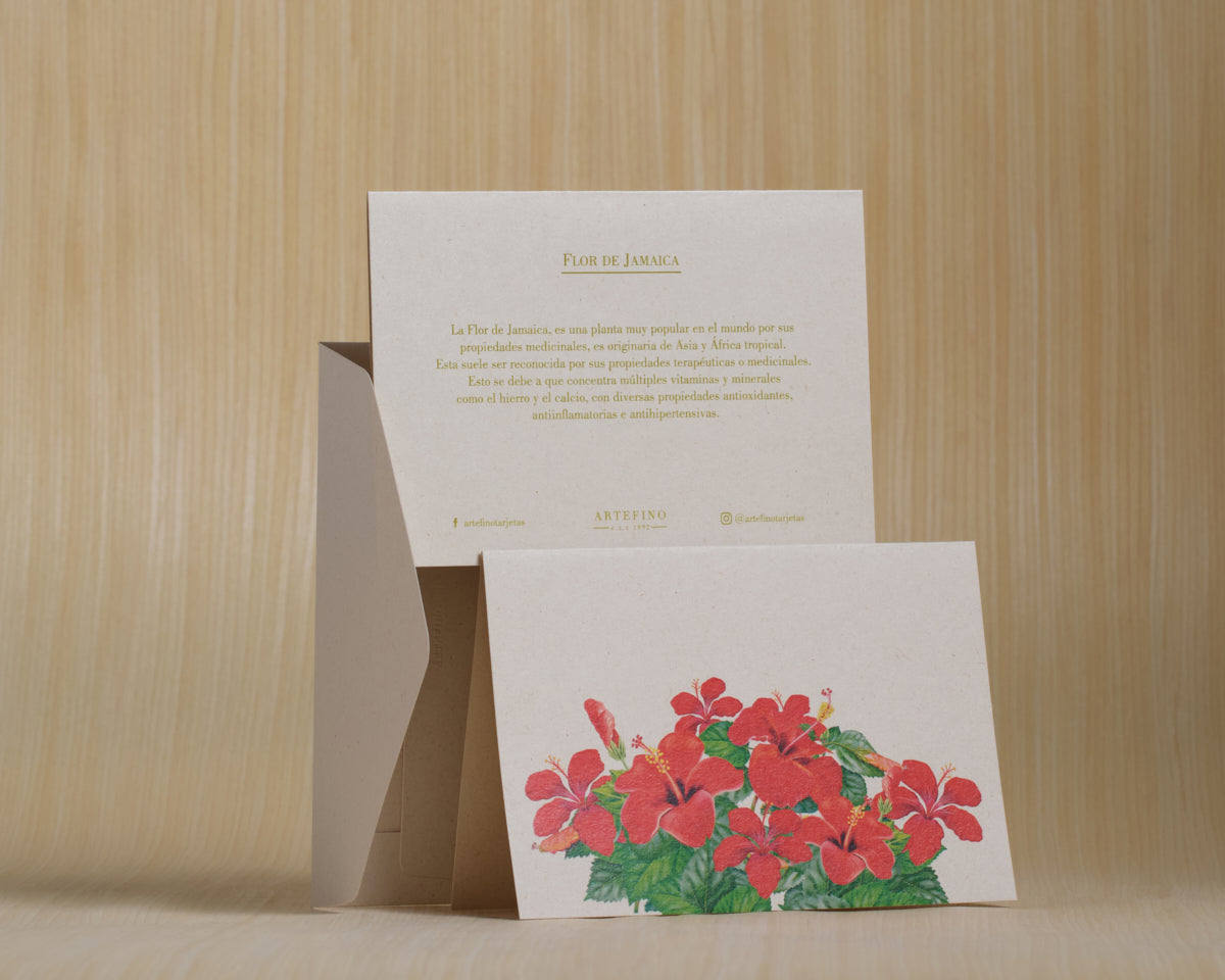 Tarjetas dobles y sobres - Flores medicinales
