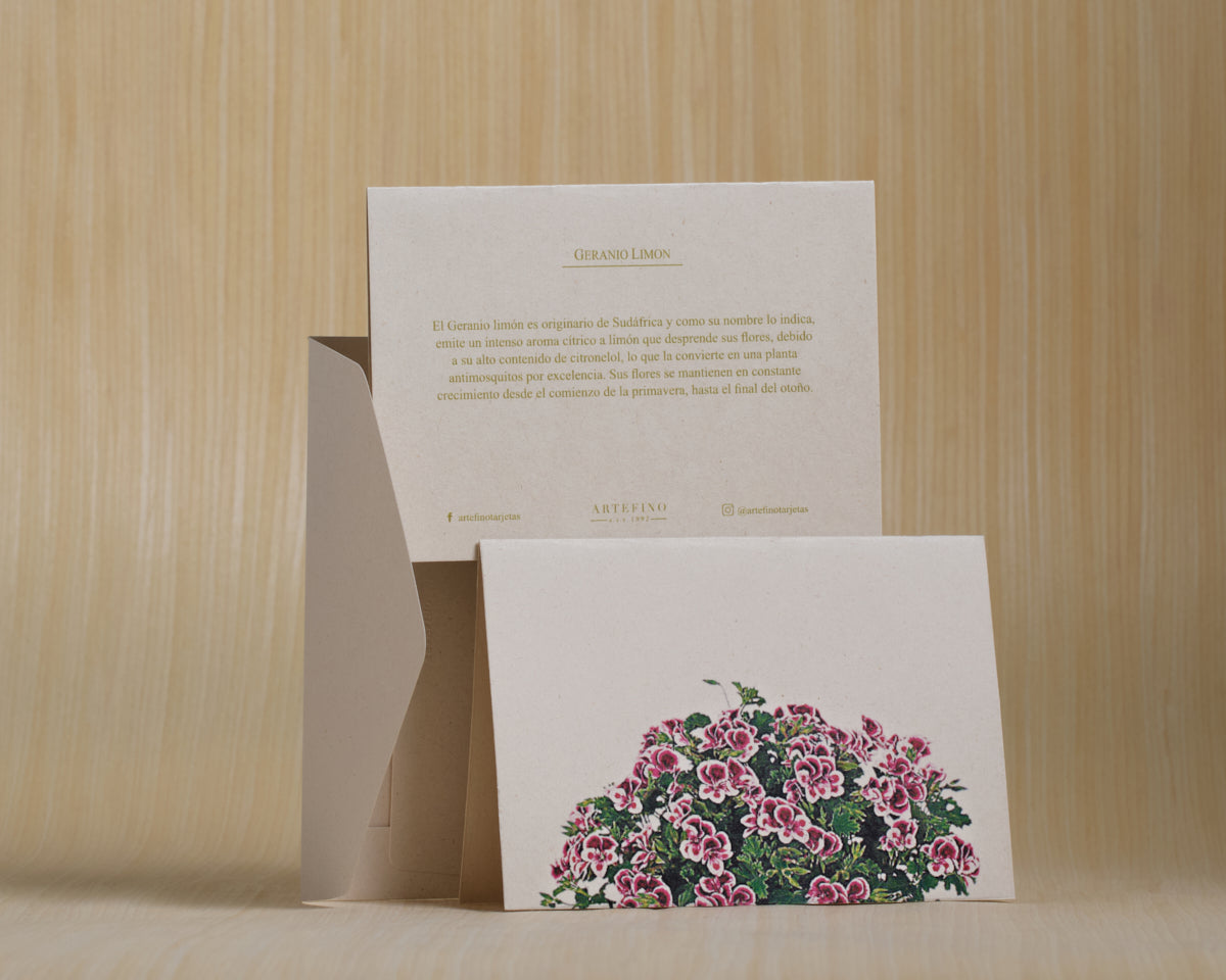 Tarjetas dobles y sobres - Flores medicinales