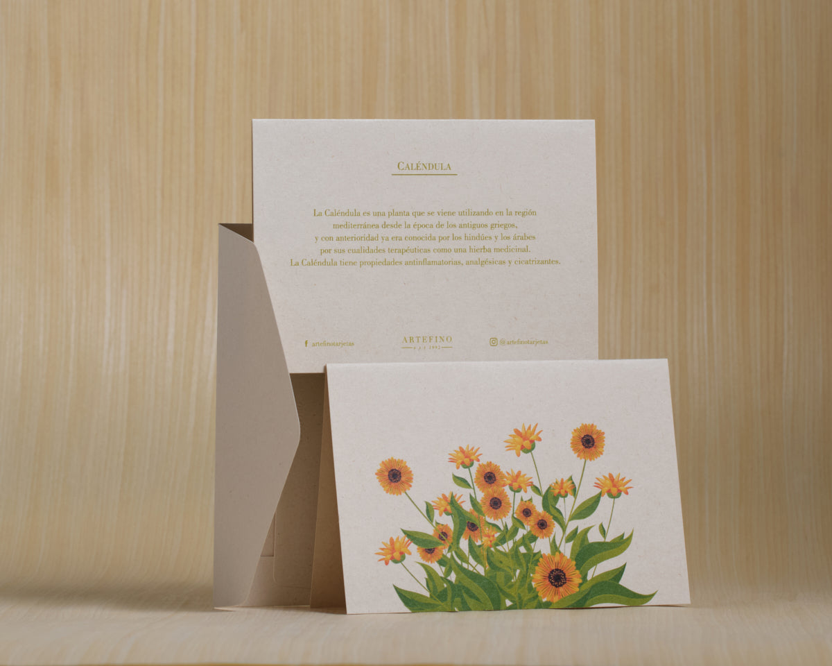 Tarjetas dobles y sobres - Flores medicinales
