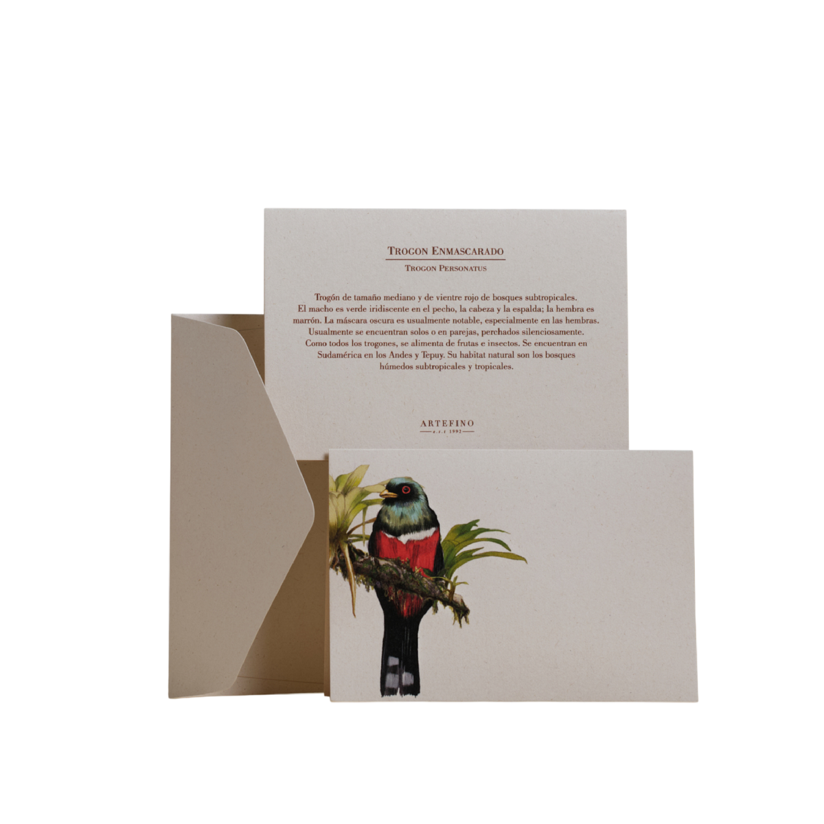 Tarjetas y sobres - Colección Aves de Colombia