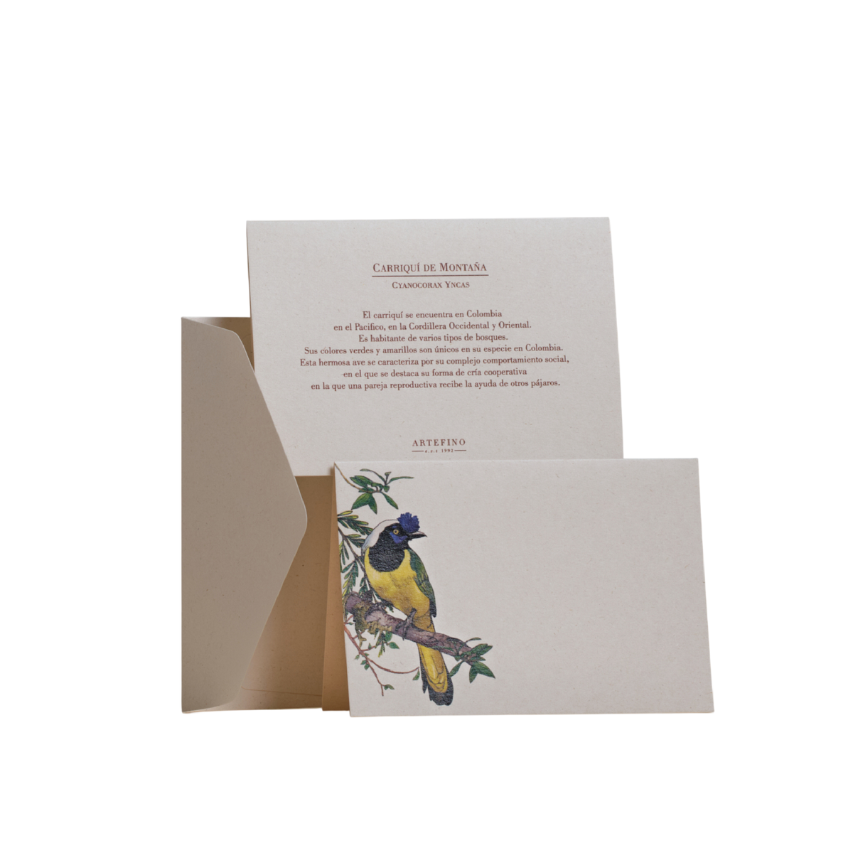 Tarjetas y sobres - Colección Aves de Colombia