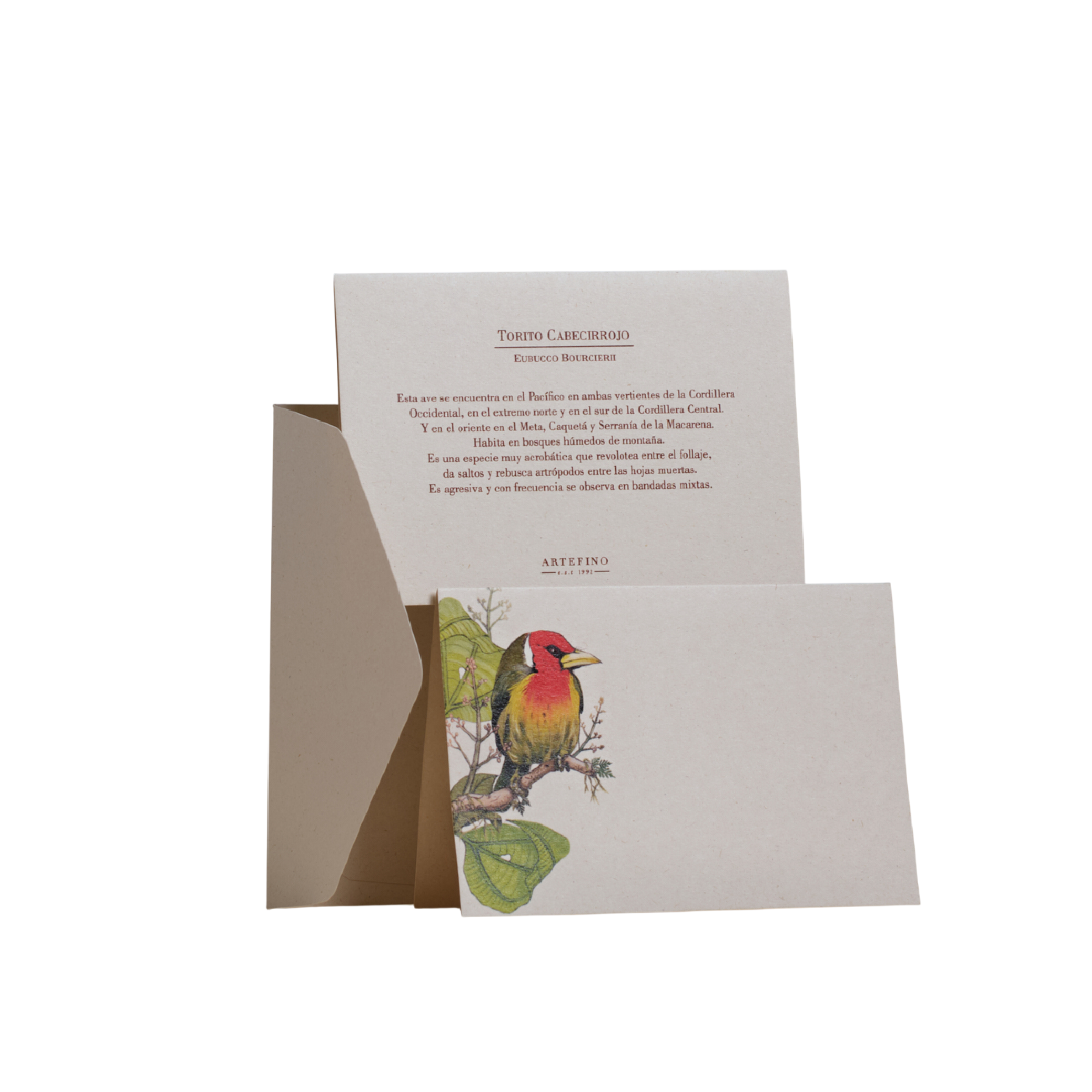 Tarjetas y sobres - Colección Aves de Colombia