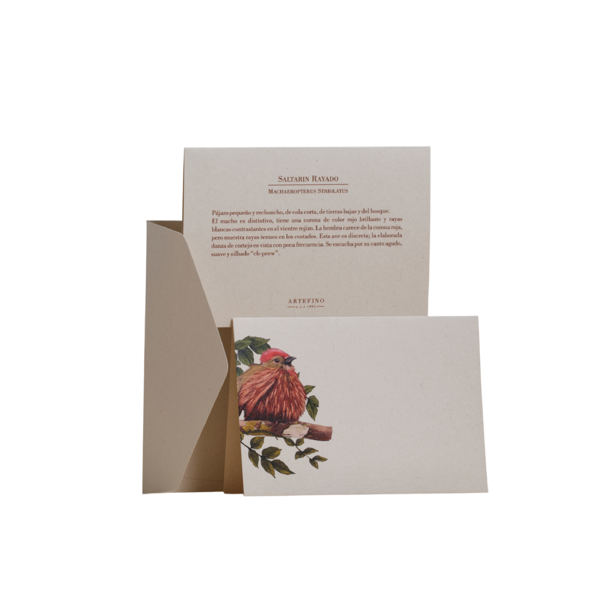 Tarjetas dobles y sobres - Colección Aves del Pacífico