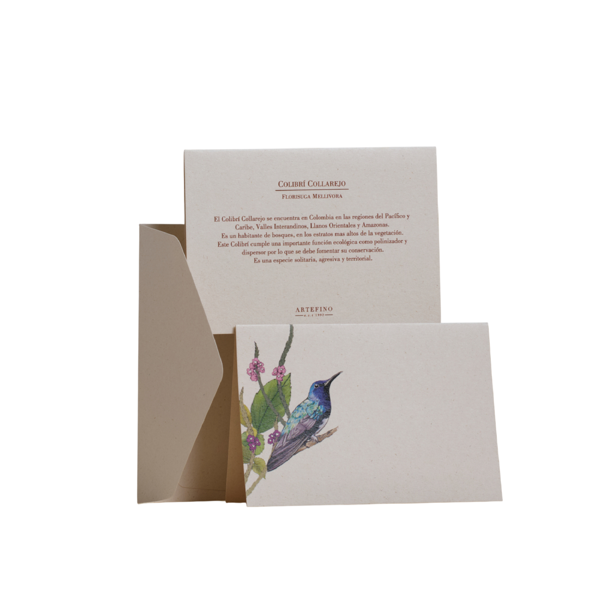 Tarjetas dobles y sobres - Colección Aves del Pacífico