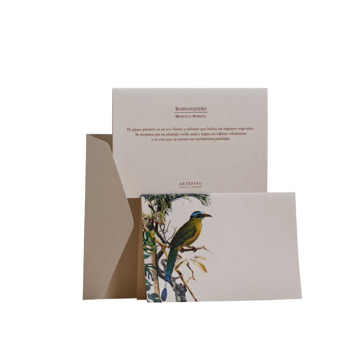 Tarjetas dobles y sobres - Colección Aves del Pacífico