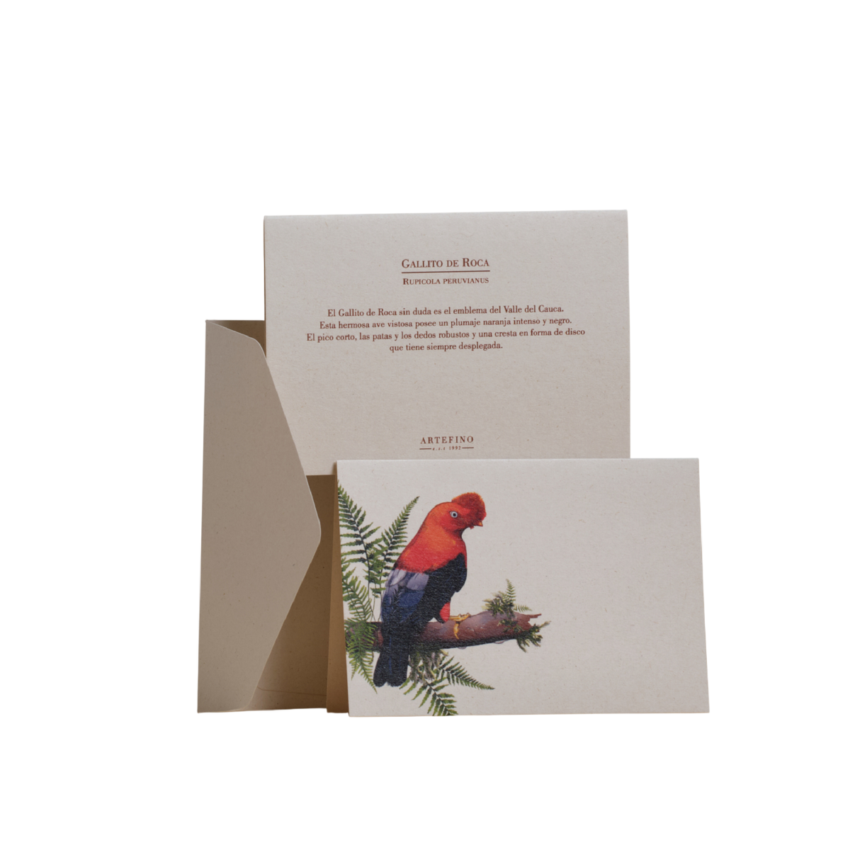 Tarjetas dobles y sobres - Colección Aves del Pacífico