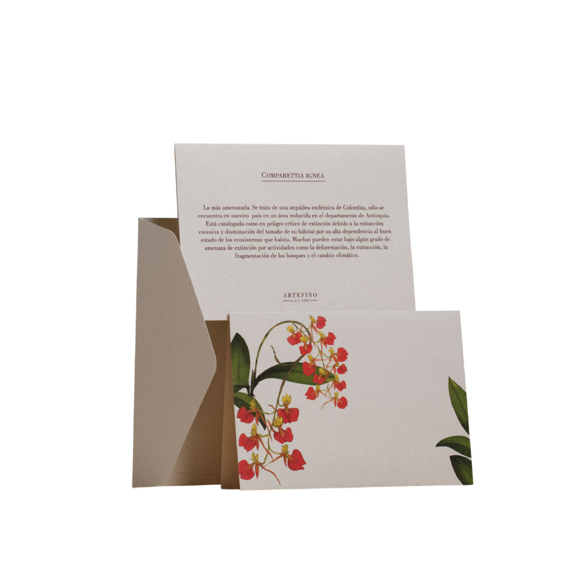 Tarjetas dobles y sobres - Orquídeas de Colombia