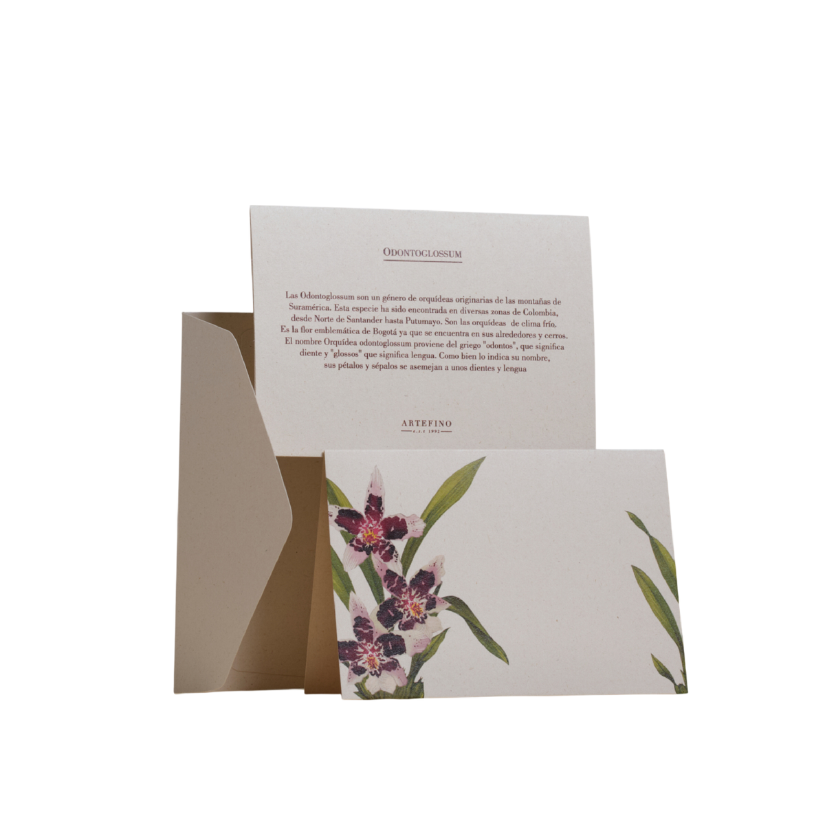 Tarjetas dobles y sobres - Orquídeas de Colombia