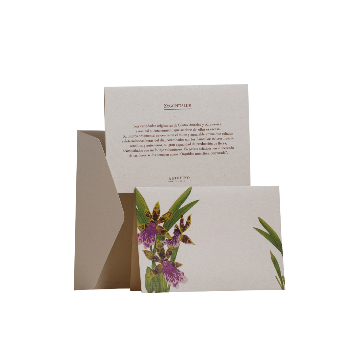 Tarjetas dobles y sobres - Orquídeas de Colombia
