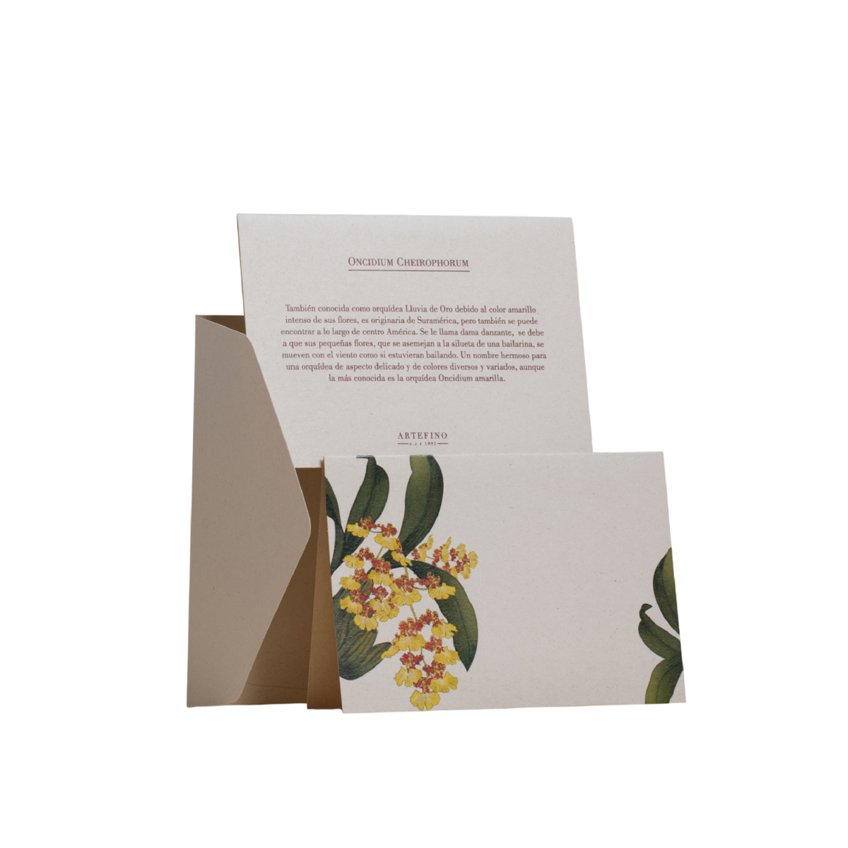 Tarjetas dobles y sobres - Orquídeas de Colombia