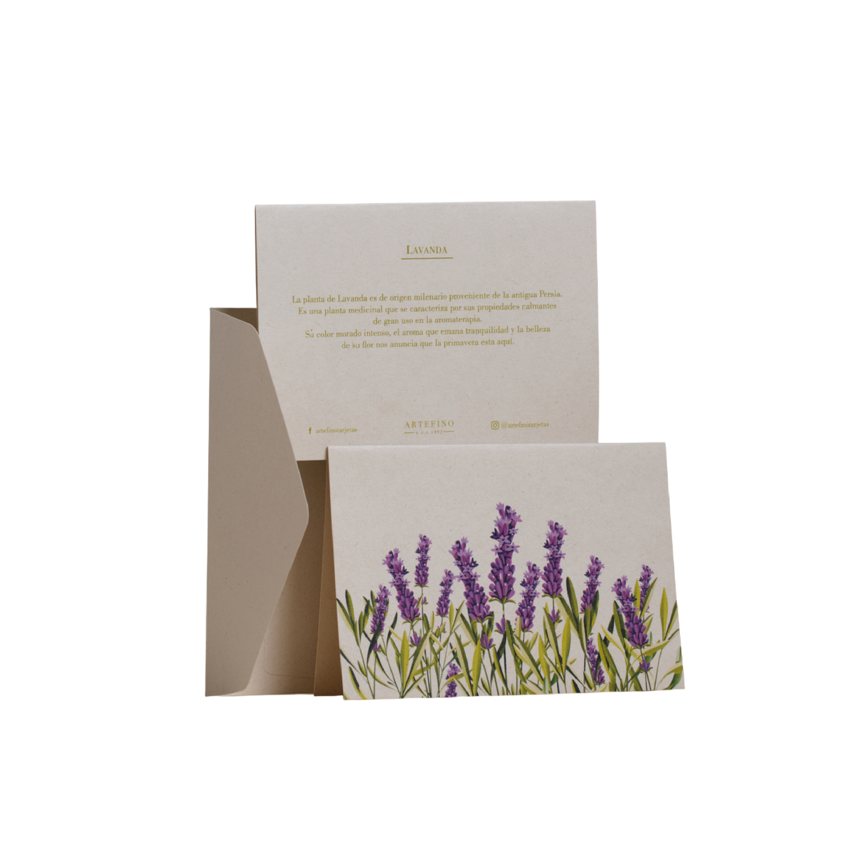 Tarjetas dobles y sobres - Flores medicinales