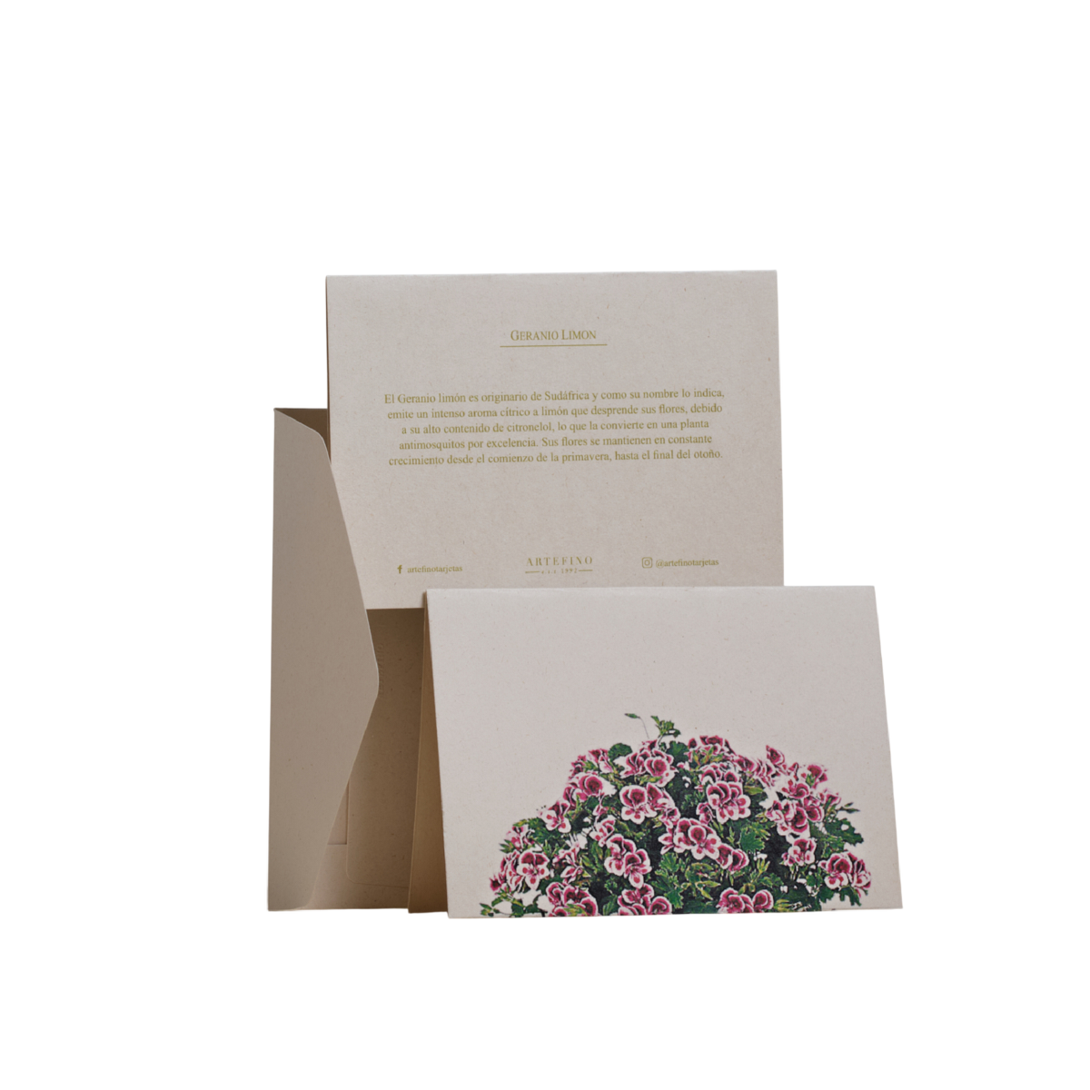 Tarjetas dobles y sobres - Flores medicinales